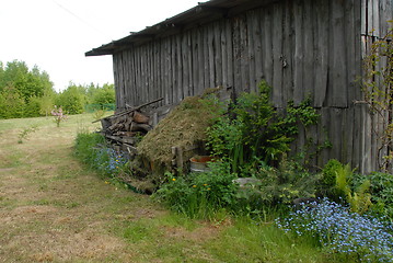 Image showing shed