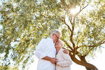 Image showing happy senior couple hugging at summer park