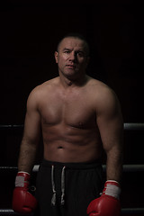 Image showing portrait of muscular professional kickboxer