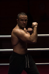 Image showing professional kickboxer in the training ring