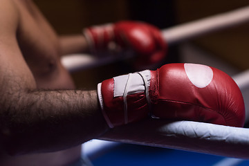 Image showing kick boxer with a focus on the gloves