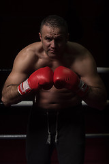 Image showing professional kickboxer in the training ring