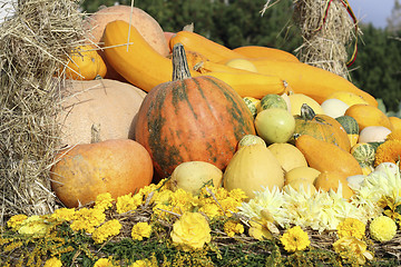 Image showing Image of autumn