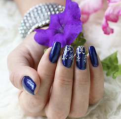 Image showing Beautifully manicured fingernails