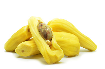 Image showing Ripe jackfruit isolated