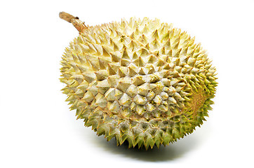 Image showing Durian fruit isolated on white background