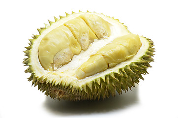 Image showing Durian fruit isolated on white background