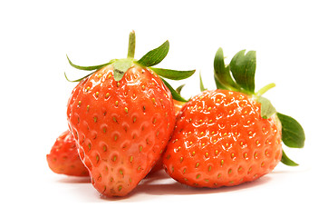 Image showing Strawberry fruits isolated 