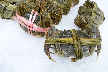 Image showing Raw shanghai hairy crab