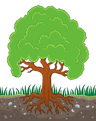 Image showing Tree with roots theme image 3