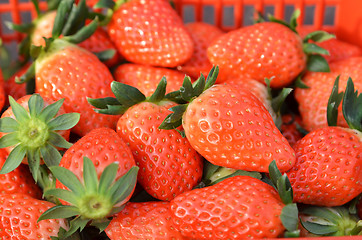 Image showing Closeup on strawberries in basket 