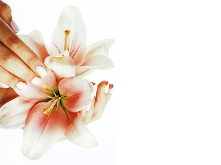 Image showing beauty delicate hands with manicure holding flower lily close up