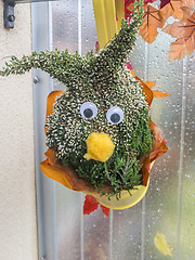 Image showing Autumn Decoration