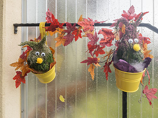 Image showing Ideas for Autumn