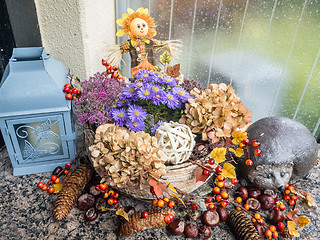 Image showing Autumn Decoration