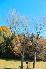 Image showing Bavarian crossroads between Two trees