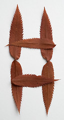 Image showing Dash symbol: alphabet and numbers with autumn brown red dry leaf on white background