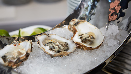 Image showing Fresh Opened Oysters