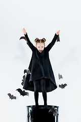 Image showing Little girl witch in black dress over magical accessories. Halloween, the studio evening.