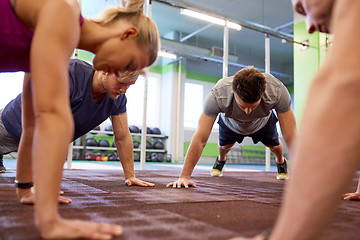 Image showing group of people doing straight arm plank in gym