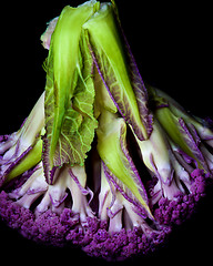 Image showing Fresh Purple Cauliflower