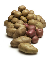 Image showing Pile of Potatoes Isolated on White