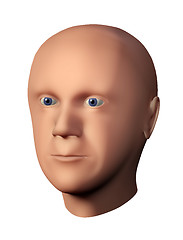 Image showing 3D rendering of a male head without hair isolated against white