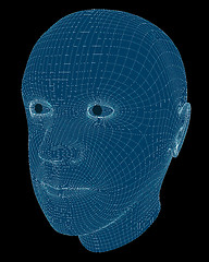 Image showing Wireframe Rendering of a Man's Head