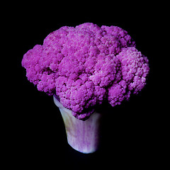 Image showing Fresh Purple Cauliflower