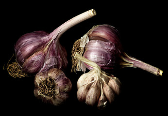Image showing Ripe Dried Garlic