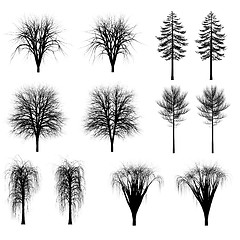 Image showing Set of silhouettes of trees, bushes