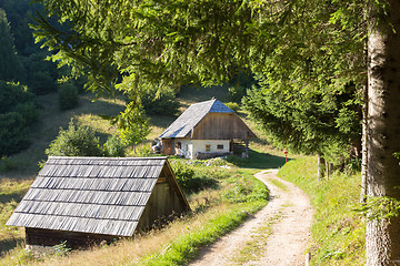 Image showing Traditional wooden hut cabin in mountain alps at rural landscape in slovenian Julian Alps, Slovenia.