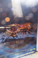 Image showing Traditional balkan dish - whole piglet grilled on the open fire.