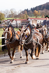 Image showing Hundham, Germany, Bavaria 04.11.2017: Leonhardi ride in the Bavarian Hundham