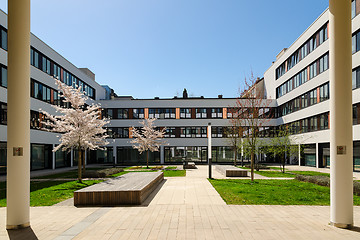 Image showing Sakura spring blossom in courtyard of modern office building