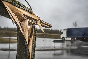 Image showing Broken tree on street