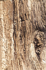 Image showing old split wood