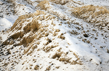 Image showing sand under the snow