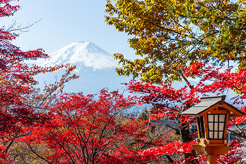 Image showing Maple tree, japanese temple and mountain Fuji