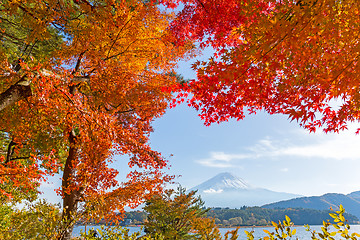 Image showing Mt.Fuji in autumn 