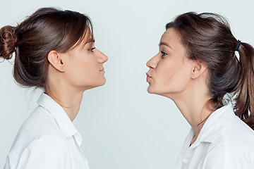 Image showing Studio portrait of female twins