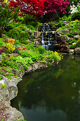 Image showing Cascading waterfall and pond