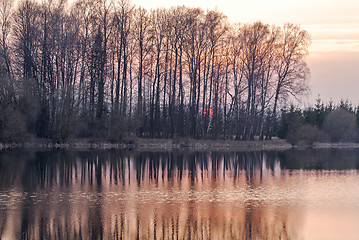 Image showing Sunset through the trees near the lake