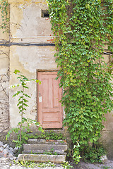 Image showing Green creeper plant covering part of wall.