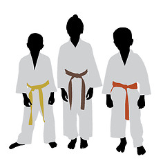 Image showing Karate kids with different color belt rank