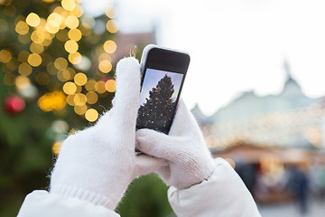 Image showing hands with smartphone photographing christmas tree