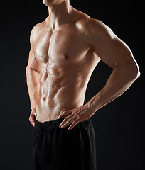 Image showing close up of man or bodybuilder with bare torso