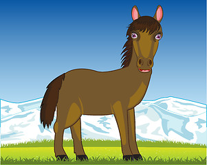 Image showing Horse on pasture