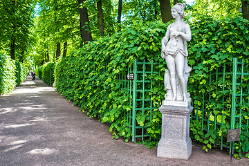 Image showing Summer gardens park in Saint Petersburg