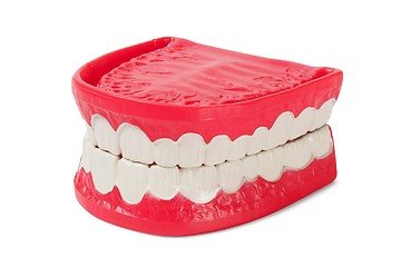 Image showing Denture on white